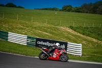 Advanced Group Red Bikes